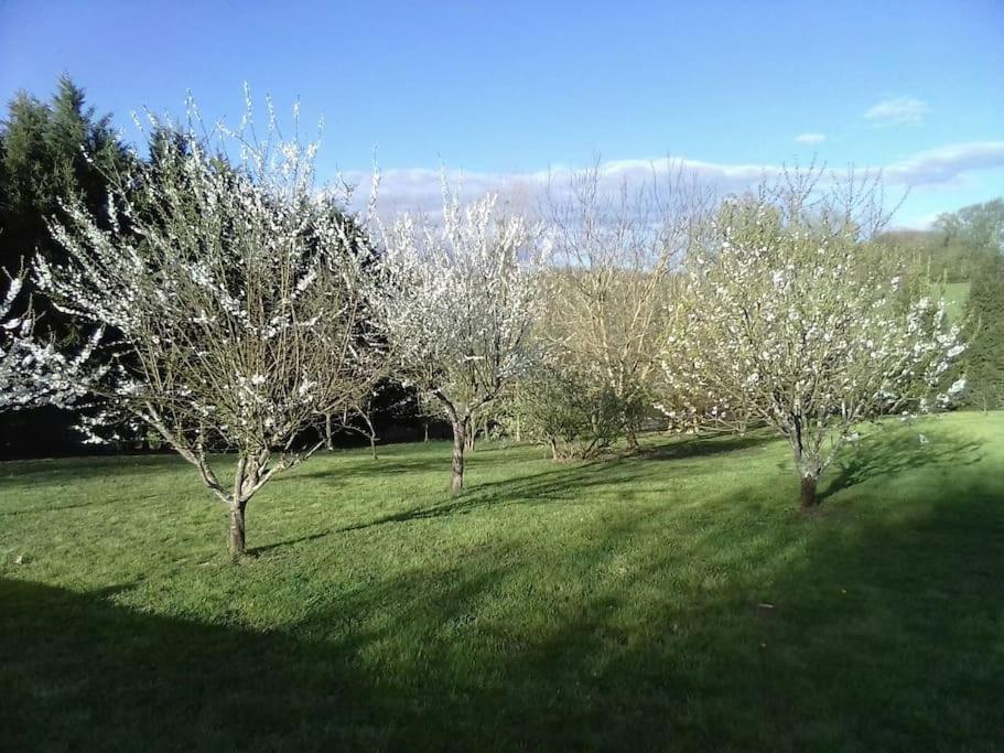 Вилла Dependance Pour 1 A 4 Pers Au Calme Dans Propriete Marboz Экстерьер фото